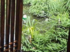 -大妙火锅·非物质文化遗产(东湖公园店)