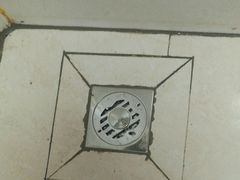 -天津啄木鸟数码维修