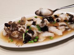 糟溜笋壳鱼-蝶园·装修中(BFC外滩金融中心店)