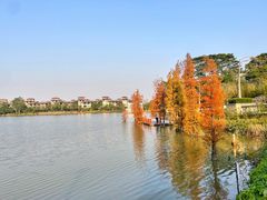 -美的鹭湖森林度假区