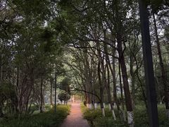 -花溪公园