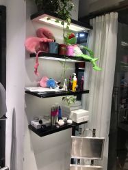 -泽璞堂美发沙龙
