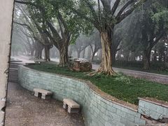 -南宁南湖公园