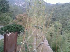 android_upload_pic-竹子庵公园