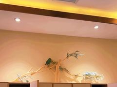 -星河湾温泉洗浴酒店