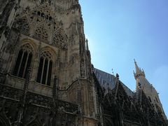 -斯蒂芬主教座堂(Stephansdom)