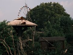 -上海野生动物园