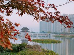 -大小河街