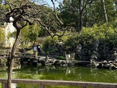 -秋霞圃