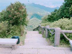 -梧桐山风景名胜区