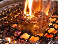 -韩味园果木炭烤鲜肉(陵东街店)