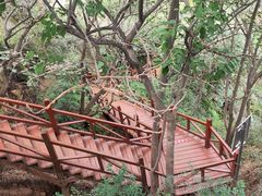 -大岭沟猕猴桃谷风景区