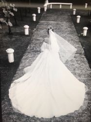 -金夫人婚纱摄影(华南店)
