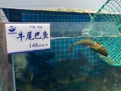 -胖姐渔村(中源大道店)