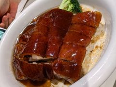 粤式烧鹅-春满园·早茶·粤菜·宴会(粤海店)