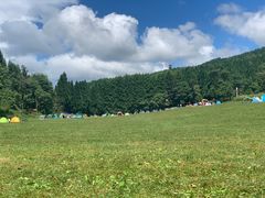 -武陵山森林公园