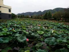 -明月山天沐温泉度假村