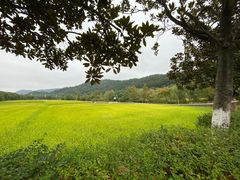 -韶山毛泽东同志故居