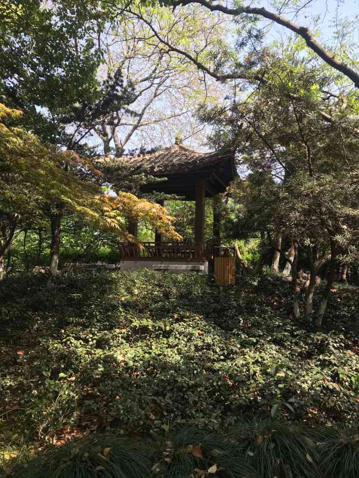 横河公园-"路过横河公园 大学路老小区自带的一个小."-大众点评移动版