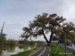 -乌龙涧铁道铁轨景