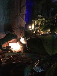 -恐龙探索乐园(磁器口店)