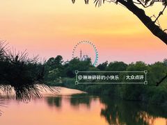 -日照海滨国家森林公园