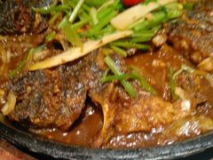-老板恋上鱼(高新万达店)