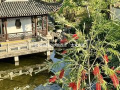 -九龙寨城公园