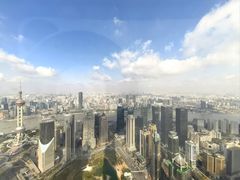 -上海柏悦酒店