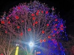 -青龙湖公园