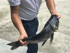 -翠茗农庄土菜馆(天目湖店)