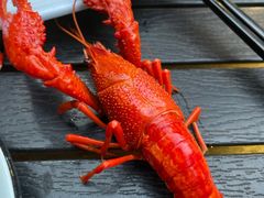 -蚝翅·海鲜粥·烧烤·宁夏滩羊季(玉米楼店)