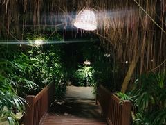 -卷心菜和避孕套餐厅(Pattaya)