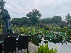 -洪湖家庭农场·团建·露营·会议