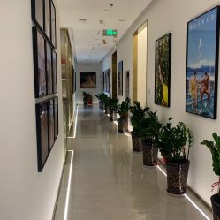 点击看大图 -维纳斯婚纱摄影(友好北路店)