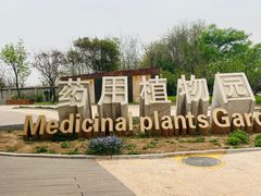 -石家庄市植物园