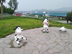 -君乐宝优致牧场