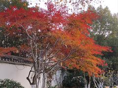 -幕燕滨江·燕子矶公园