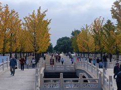 -晋祠公园