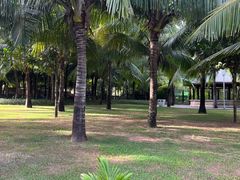 -三亚海棠湾喜来登度假酒店