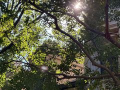 -中旅阿那亚九龙湖·公主酒店