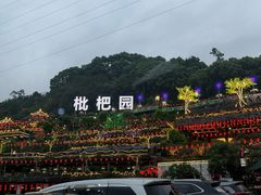 -枇杷园食为鲜火锅(南山店)