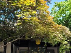 -常熟方塔园
