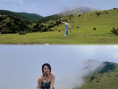 -大姆山草场