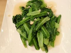 -锦粤宫·精致粤菜(深圳北站店)