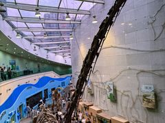 -陕西自然博物馆