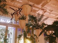 -春树下·树屋花房西餐厅(罍街AS1980店)