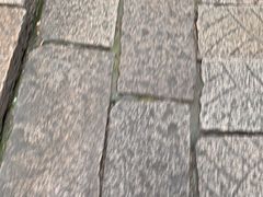 -昭明书院