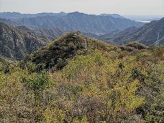 -大岭沟猕猴桃谷风景区