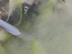 -考记泥焗鸡农庄·海鲜(北洛秘境店)